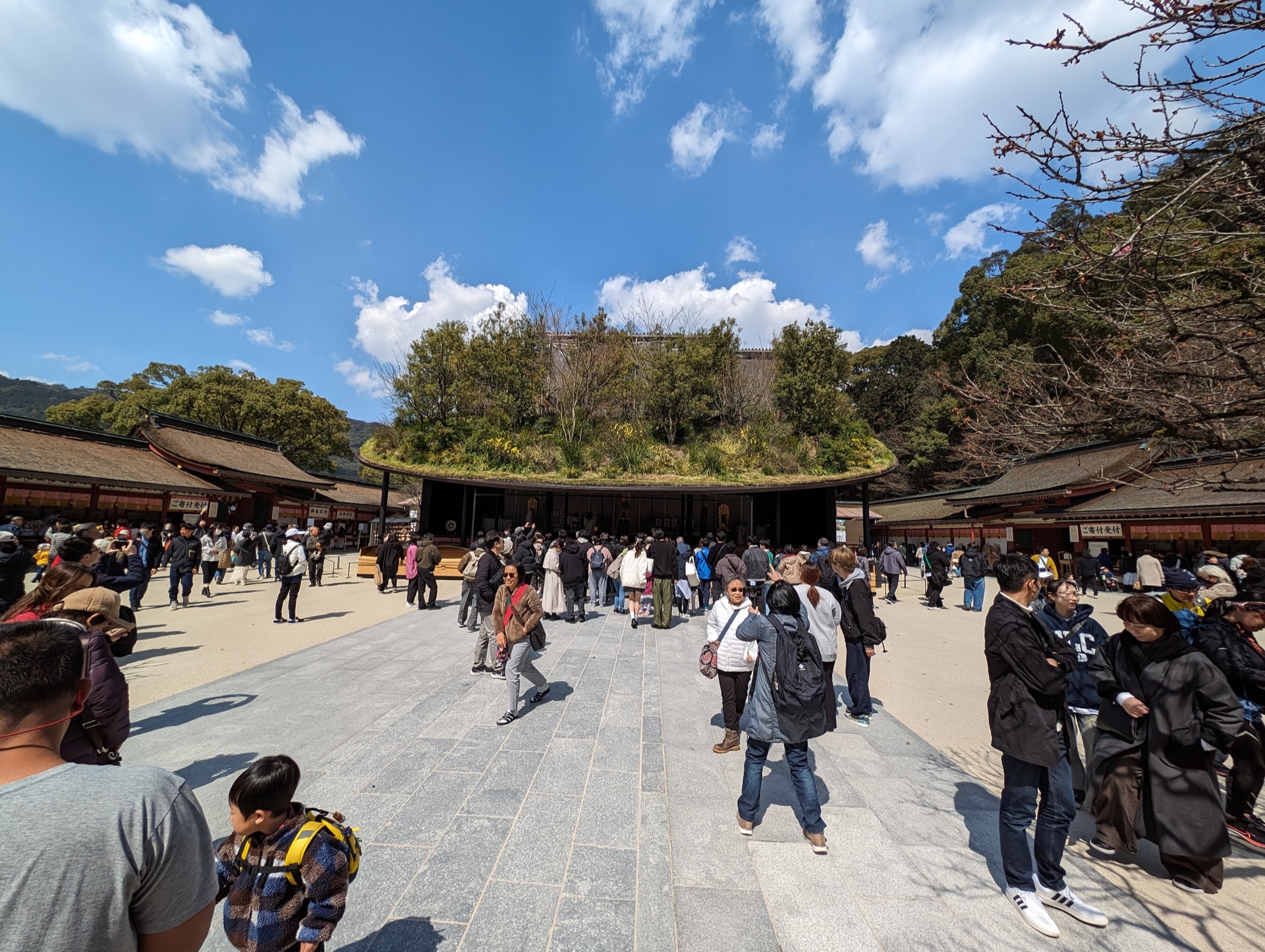 A large courtyard with many people milling around. Far centre is a building with trees and large plants growing on its roof